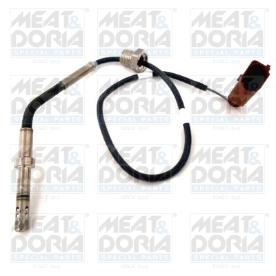 Sensor, exhaust gas temperature
